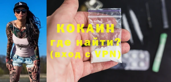 стаф Каменка