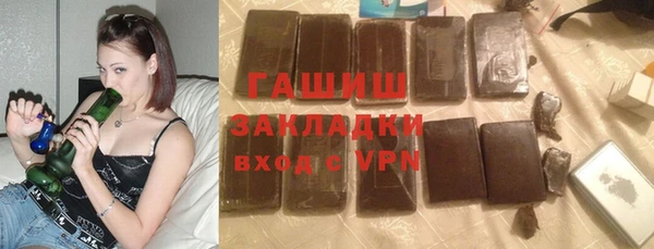 стаф Каменка
