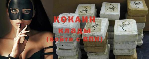 стаф Каменка