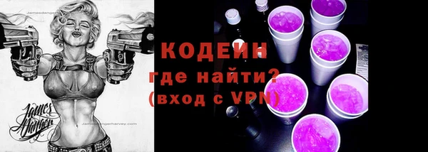 стаф Каменка