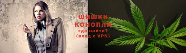 стаф Каменка