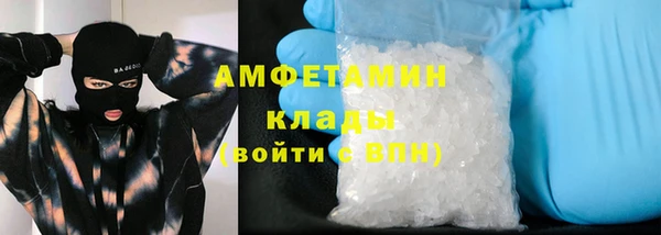 стаф Каменка