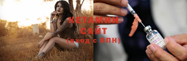 стаф Каменка
