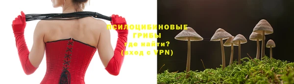 не бодяженный Каменногорск