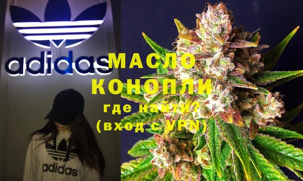 стаф Каменка