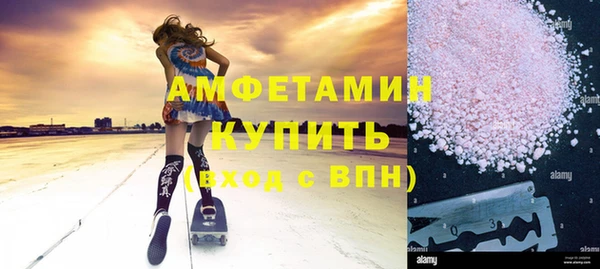 стаф Каменка