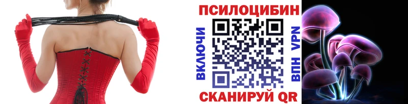 Галлюциногенные грибы Psilocybe Жуков